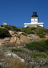 photo "ille sanguinaires - corsica"