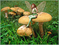 фото "There are fairies at the bottom of my garden"