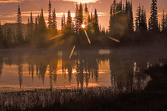 photo "Shine On You Crazy Diamond"