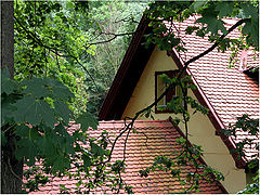 photo "Dreaming House"
