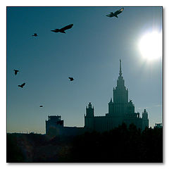 фото "Новые Икары"