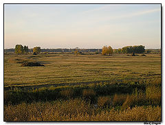 фото "Осень в полях"