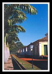 фото "Colony"