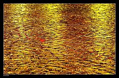 фото "Reflection II"