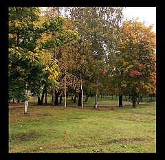photo "Autumn park"