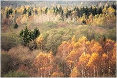 photo "Autumn 2"