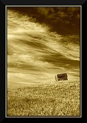 photo "hill"
