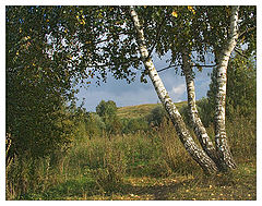 photo "The beginning of autumns"