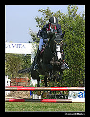 photo "Jump!..."