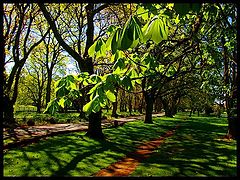 photo "CornWall Park"