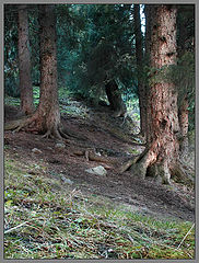 photo "Untitled photo"
