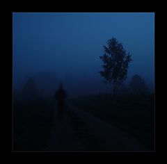 photo "fade to fog"