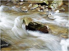 фото "...dusky water..."