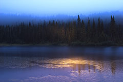 photo "Darkness"