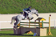 photo "Crystall Saddle 2004"