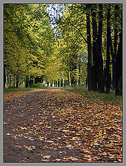 photo "Autumn park - 2"