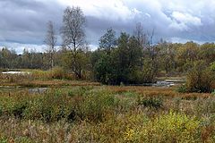фото "Осень 1"