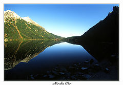 photo "Untitled photo"