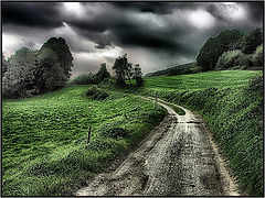 photo "the way"