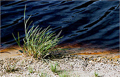 photo "Contrasts #2"