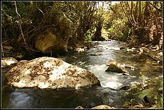 фото "Banias"