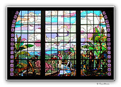 photo "Stained Glass"