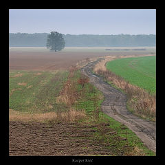 photo "sleepy fields"