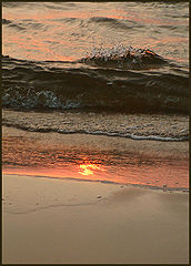 photo "To catch the sun"