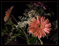 photo "Bouquet"