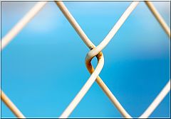 photo "Safety Net"
