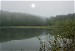 фото "Утро"
