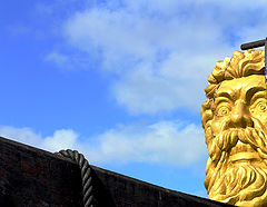 photo "Zeus"
