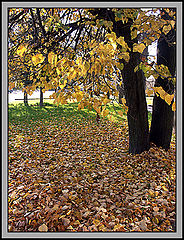 photo "Nostalgy"