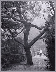 photo "park etude"