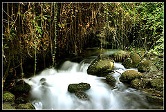 фото "###"