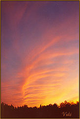 фото "The sky"