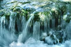 photo "Green water"