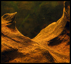 photo "underwater mountains"