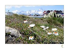 photo "My favorite mountain landscape"