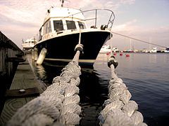 фото "At the docks"