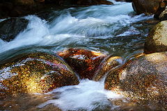 photo "THE Ghyll,The Cobblestone"