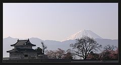 photo "japanese morning"