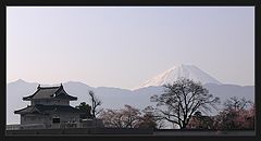 фото "japanese morning"