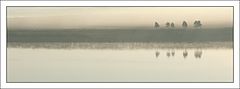 photo "***"