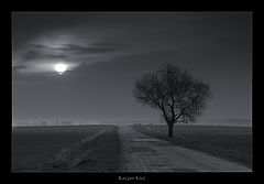 photo "here comes the sun"
