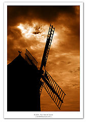 фото "windmill"
