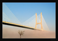 фото "Over the fog"