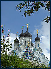photo "~ ~ ~"