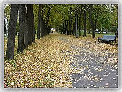 photo "Autumn"