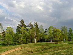 photo "In Prioratsk park"